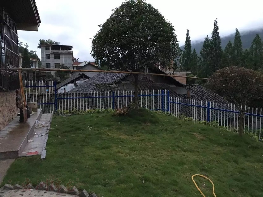 綠化鋅鋼護欄案例實拍
