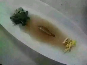 揭秘市場低價鋅鋼護(hù)欄是如何出爐的